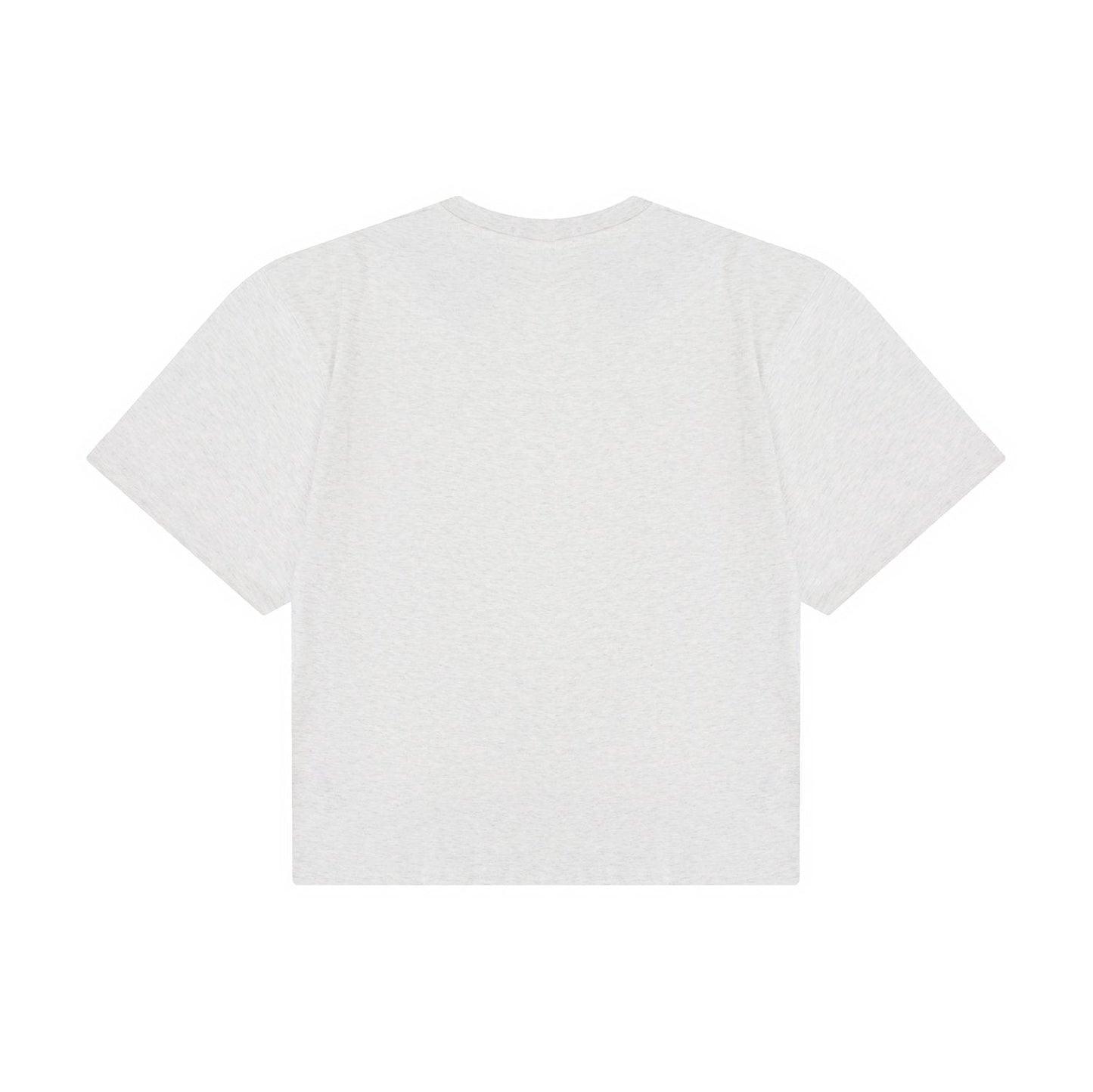 Test2-Ralph Lauren Embroidered Pony Oversized Drop-Shoulder T-Shirt — back