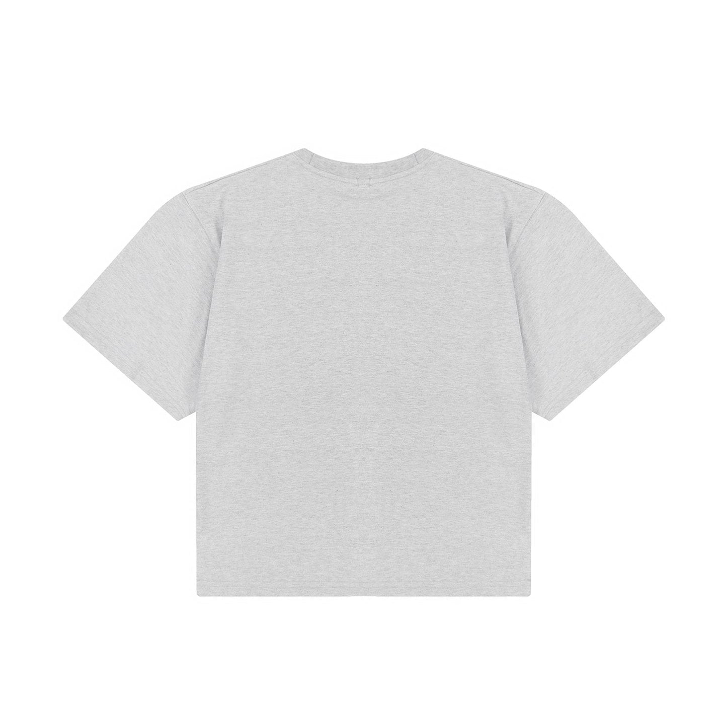 Test2-Ralph Lauren Women's Oversized Drop-Shoulder Pony Embroidered T-Shirt — back